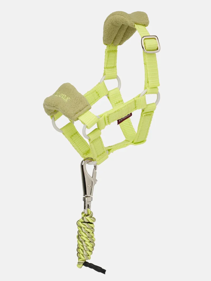 LeMieux Toy Pony Headcollar in Kiwi